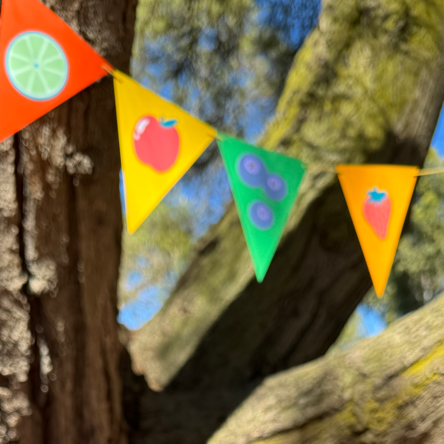 Fruit Bunting Flags